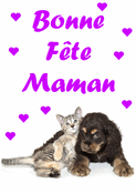 Tendresse f&eacute;line et canine pour maman